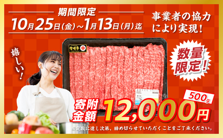 【期間・数量限定】宮崎牛赤身（モモ）スライス500g_Tk031-016-D