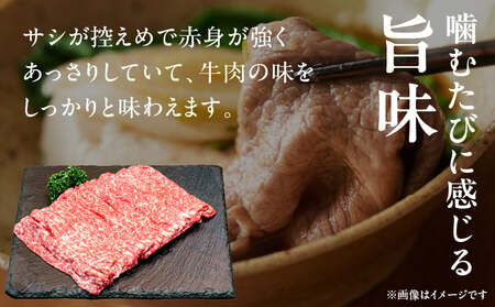 【期間・数量限定】宮崎牛赤身（モモ）スライス500g_Tk031-016-D