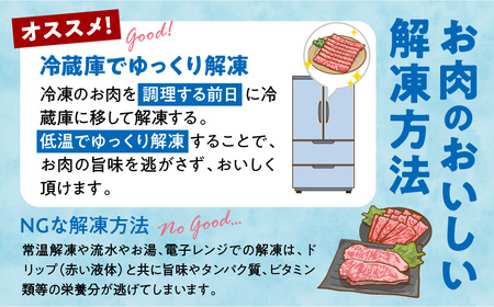 【期間・数量限定】宮崎牛赤身（ウデ）焼きしゃぶ1.0kg_Tk031-015-UP