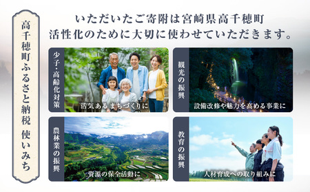 神話の里 高千穂町への応援寄附金【5,000円】（返礼品なし） 宮崎県 高千穂町 神話の里 応援寄附金 活性化 ふるさと納税 宮崎県 高千穂町 _Tk001-013