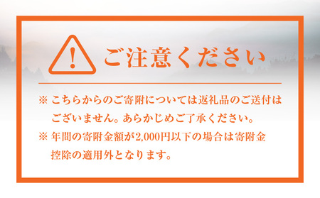 神話の里 高千穂町への応援寄附金【5,000円】（返礼品なし） 宮崎県 高千穂町 神話の里 応援寄附金 活性化 ふるさと納税 宮崎県 高千穂町 _Tk001-013