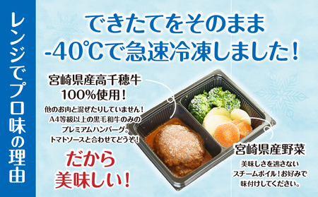 《一度に届く》レンジでプロ味！4種セットふるさと納税 黒毛和牛 コロッケ からあげ ジューシー 鶏もも肉 スパイス ハンバーグ 温野菜 プレート 高千穂牛 旨み チキン南蛮 レンジ 冷凍 冷凍食品 簡単調理 時短調理 一人暮らし 献立 弁当 宮崎県 高千穂_Tk005-098