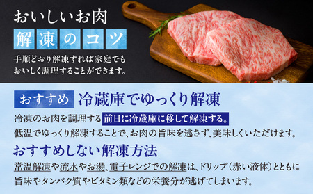 宮崎県産黒毛和牛A4等級以上 高千穂牛すね肉 800ｇ  C11