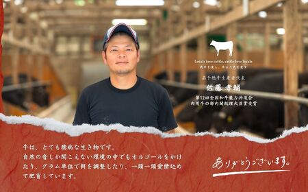 宮崎県産黒毛和牛A4等級以上 高千穂牛サーロインステーキ 250g×2枚 計500g  A1