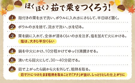 高千穂・ひのかげくり（9月限定） C-22