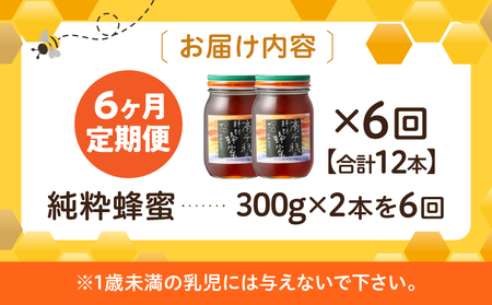【6ヶ月定期便】日本みつばち 高千穂の純粋蜂蜜 300g×2本 セット 瓶 蜂蜜 はちみつ ハチミツ 百花蜜 自然蜜100% 調味料 定期 はちみつセット 瓶 贈答 贈り物 ギフト プレゼント おすそ分け 普段使い セット 高千穂産 国産 _Tk006-t019