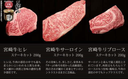 S-14 宮崎牛 ステーキ食べ比べセット600g 万能だれ付き