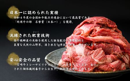 宮崎県産黒毛和牛A4等級以上 高千穂牛すじ 500g×2パック 計1kg  A145
