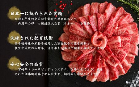 宮崎県産黒毛和牛A4等級以上 高千穂牛バラ肉 500g  A154