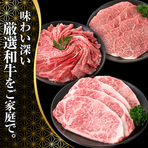 宮崎県産黒毛和牛切り落とし(600g・300g×2P)【SJ009】【日本ハムマーケティング株式会社】