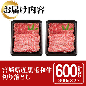 宮崎県産黒毛和牛切り落とし(600g・300g×2P)【SJ009】【日本ハムマーケティング株式会社】