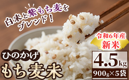 ＜令和5年産＞宮崎県日之影町産もち麦米(900g×5袋) 【AF001】【株式会社ひのかげアグリファーム】