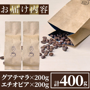 自家焙煎コーヒー豆　厳選ストレート2種400g（グアテマラ200g・エチオピア200g） モカ 珈琲 飲料 ドリンク アウトドア キャンプ おうち時間【BC001】【Backrest Coffee】