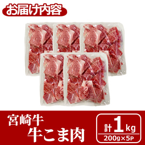 宮崎牛 牛こま(計1kg・200g×5) 牛肉 精肉 お肉 黒毛和牛 ブランド和牛 お取り寄せ 冷凍 国産 宮崎県 【MS006】【株式会社マルミヤストア】