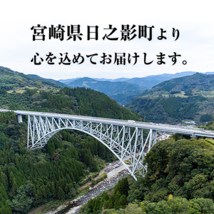 【定期便・全6回(毎月)】乾椎茸肉厚どんこ(80g×3袋×6回)宮崎県産 原木栽培 特選 干し椎茸 しいたけ きのこ【NK014】【宮崎県農業協同組合　高千穂地区本部】