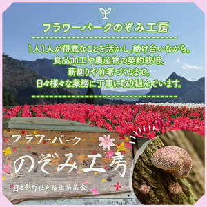 のぞみの薪（計6～8kg）まき 広葉樹 乾燥 薪ストーブ キャンプ アウトドア 焚火 焚き火 暖炉 薪風呂【FP001】【フラワーパークのぞみ工房】