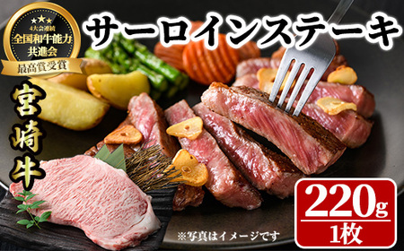 宮崎牛 サーロインステーキ(220g・1枚) 牛肉 肉 ブランド牛  冷凍 国産 宮崎県 【LJ001】【レグセントジョイラー株式会社】