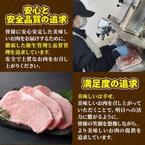 宮崎牛 サーロインステーキ(220g・1枚) 牛肉 肉 ブランド牛  冷凍 国産 宮崎県 【LJ001】【レグセントジョイラー株式会社】