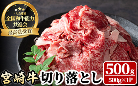 宮崎牛 切り落とし(500g) 牛肉 肉 ブランド牛  冷凍 国産 精肉 お取り寄せ 黒毛和牛 宮崎県 【LJ004】【レグセントジョイラー株式会社】