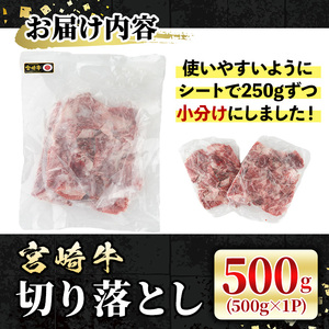 宮崎牛 切り落とし(500g) 牛肉 肉 ブランド牛  冷凍 国産 精肉 お取り寄せ 黒毛和牛 宮崎県 【LJ004】【レグセントジョイラー株式会社】