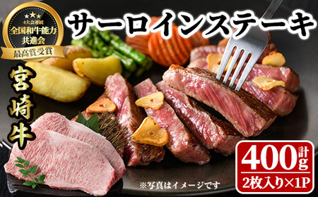 宮崎牛 サーロインステーキ(計400g・2枚) 希少部位 BBQ 牛肉 肉 ブランド牛  冷凍 国産 精肉 お取り寄せ 黒毛和牛 宮崎県 【LJ015】【レグセントジョイラー株式会社】