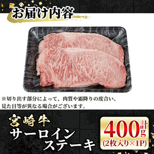 宮崎牛 サーロインステーキ(計400g・2枚) 希少部位 BBQ 牛肉 肉 ブランド牛  冷凍 国産 精肉 お取り寄せ 黒毛和牛 宮崎県 【LJ015】【レグセントジョイラー株式会社】