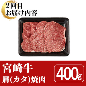 ＜全3回・定期便＞宮崎牛定期便(ロースステーキ・600g、肩焼肉・400g、ワンポンドステーキ・454g)A4 A5  国産 牛肉 精肉 宮崎県産 お肉 黒毛和牛 お取り寄せ 焼き肉 ステーキ【SJ010】【日本ハムマーケティング株式会社】