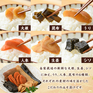 味噌漬けと米味噌のセット(味噌漬け: 230g×2・米味噌:700g×2) 漬物 お漬物 つけもの おつけもの おかず 田舎味噌 甘口 米みそ 国産 九州 味噌 みそ 調味料【MU031】【日之影町村おこし総合産業(株)】