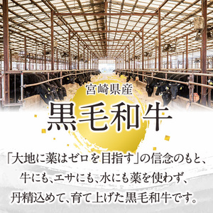 切り落とし和牛(500g×2P) 国産 宮崎県産 黒毛和牛 牛肉 こま切れ 小間切れ 炒めもの 霜降り 和牛 【AR011】【(有)有田牧畜産業 食肉加工センター】