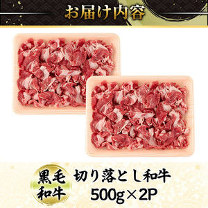 切り落とし和牛(500g×2P) 国産 宮崎県産 黒毛和牛 牛肉 こま切れ 小間切れ 炒めもの 霜降り 和牛 【AR011】【(有)有田牧畜産業 食肉加工センター】
