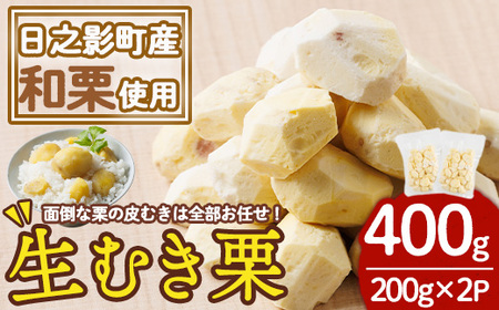 ひのかげ 冷凍 生 むき栗 (計400g・200g×2P) 小分け 真空パック くり クリ 栗きんとん 栗ごはん 製菓材料 加工食品【TR008】【旬果工房てらす】