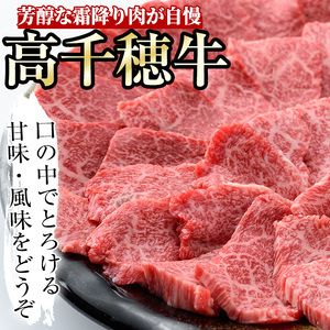 高千穂牛 ウデ焼き肉(500g)【MT001】【JAみやざき 高千穂牛ミートセンター】