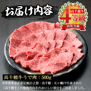 高千穂牛 ウデ焼き肉(500g)【MT001】【JAみやざき 高千穂牛ミートセンター】