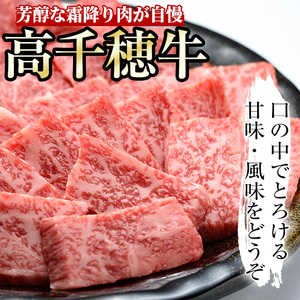 高千穂牛 焼き肉セット(ロース・カルビ各250g)【MT010】【JAみやざき 高千穂牛ミートセンター】