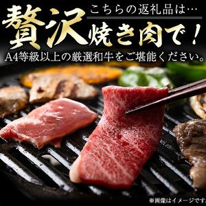 高千穂牛 焼き肉セット(ロース・カルビ各250g)【MT010】【JAみやざき 高千穂牛ミートセンター】