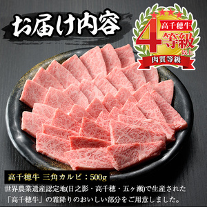 高千穂牛 三角カルビ(500g)【MT012】【JAみやざき 高千穂牛ミートセンター】