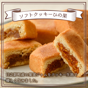 ソフトクッキーひの果(12個入) 【TR003】【旬果工房てらす】
