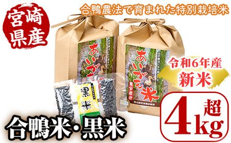 ＜数量限定＞令和6年産アイガモ米(2kg×2個)と黒米(42g)【MU015】【日之影町村おこし総合産業(株)】