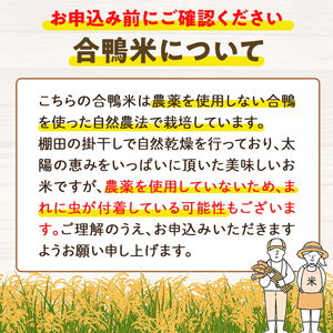 ＜数量限定＞令和6年産アイガモ米(2kg×2個)と黒米(42g)【MU015】【日之影町村おこし総合産業(株)】