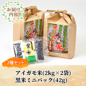 ＜数量限定＞令和6年産アイガモ米(2kg×2個)と黒米(42g)【MU015】【日之影町村おこし総合産業(株)】