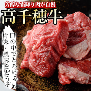 高千穂牛 すね肉(計800g・400g×2P)【MT003】【JAみやざき 高千穂牛ミートセンター】