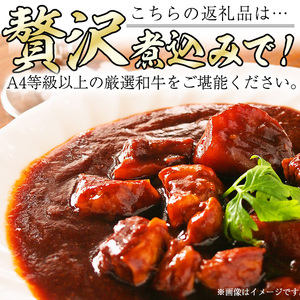 高千穂牛 すね肉(計800g・400g×2P)【MT003】【JAみやざき 高千穂牛ミートセンター】