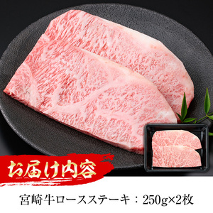 宮崎牛 ロースステーキ(計500g・250g×2枚)【MI011】【(株)ミヤチク宮崎加工センター】