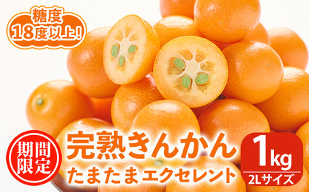 期間限定・2月～3月＞完熟きんかん たまたまエクセレント(約1kg・2L