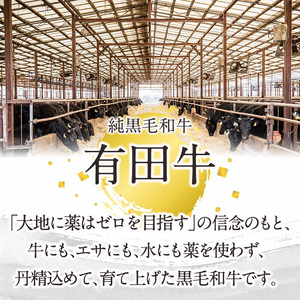宮崎黒毛和牛おまかせ部位サイコロステーキ(計1kg・250g×4)【AR006】【(有)有田牧畜産業 食肉加工センター】