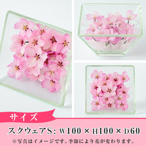 ボトルフラワー スクウェア(S)【AT003】【ボトルフラワーatelier4-flowers】