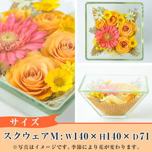 ボトルフラワー スクウェア(M)【AT006】【ボトルフラワーatelier4-flowers】