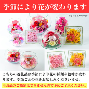 ボトルフラワー スクウェア(M)【AT006】【ボトルフラワーatelier4-flowers】