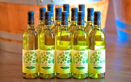 五ヶ瀬ワイン　ナイアガラ（白・甘口）１２本セット