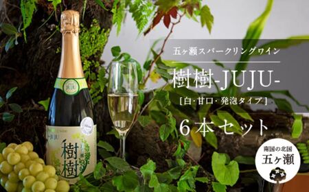 五ヶ瀬スパークリングワイン　樹樹（白・甘口・発泡タイプ）６本セット 11,544円
